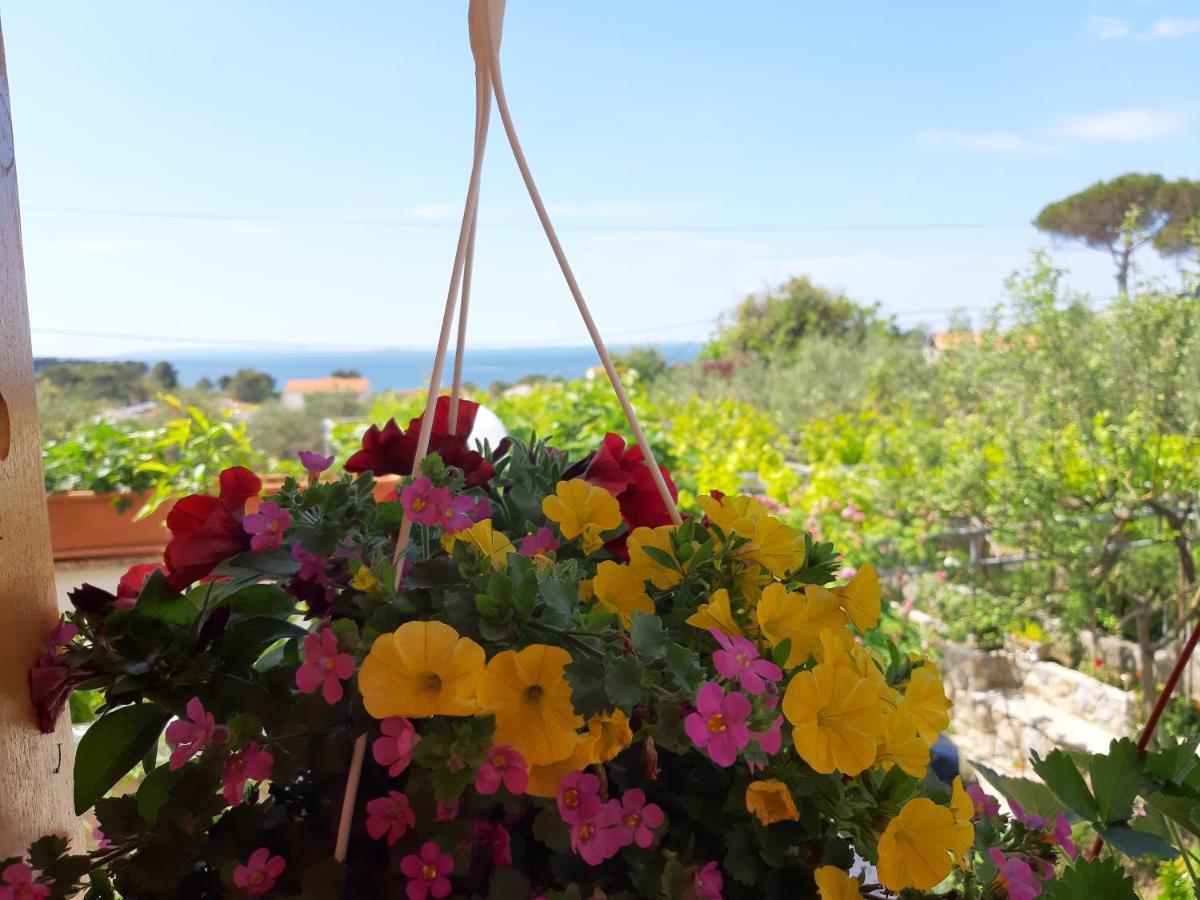 Apartment Vesna Banjol